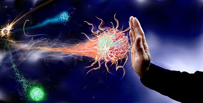 factor de transferencia fibromialgia