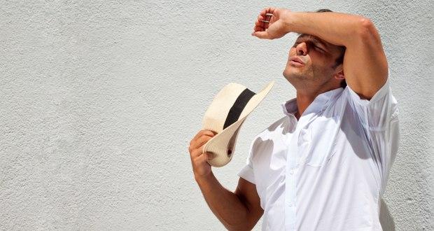 factores de transferencia infecciones verano