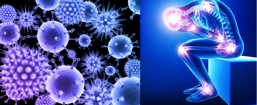 factor de transferencia infecciones virales