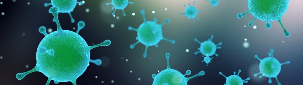 factor de transferencia virus de papiloma