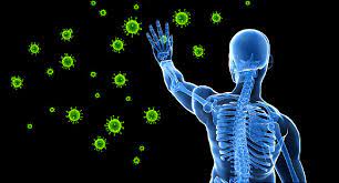 factor de transferencia