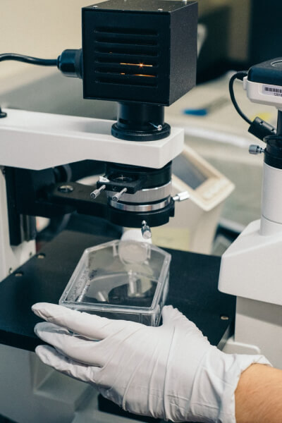 fcator de transferencia cancer