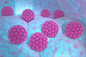 factor de transferencia virus de papiloma humano
